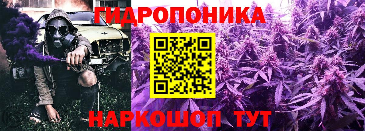 Бошки марихуана планчик  Вход с VPN  Каннабис AK-47  Выборг  Шишки марихуана MAZAR 